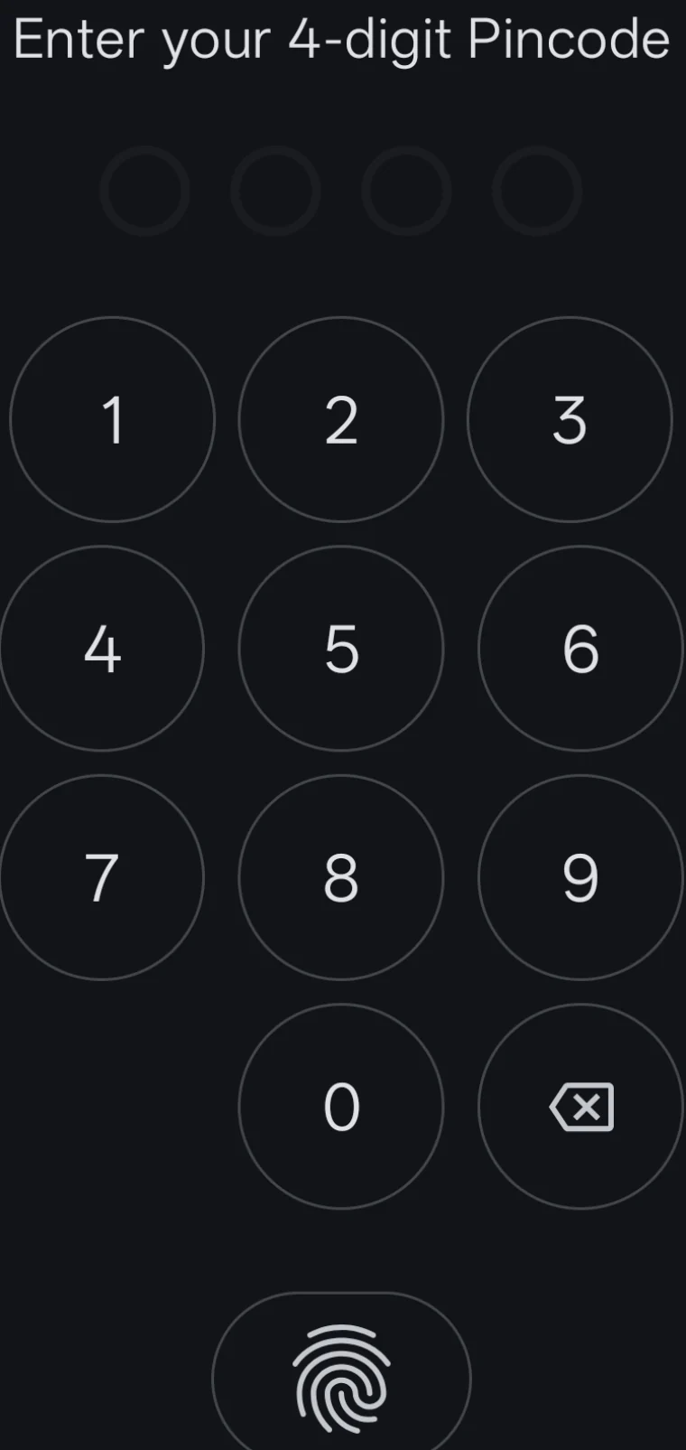 The PIN lock screen: Enter your 4-digit Pincode above four empty dots, a numeric keypad with a delete key, and a fingerprint button below