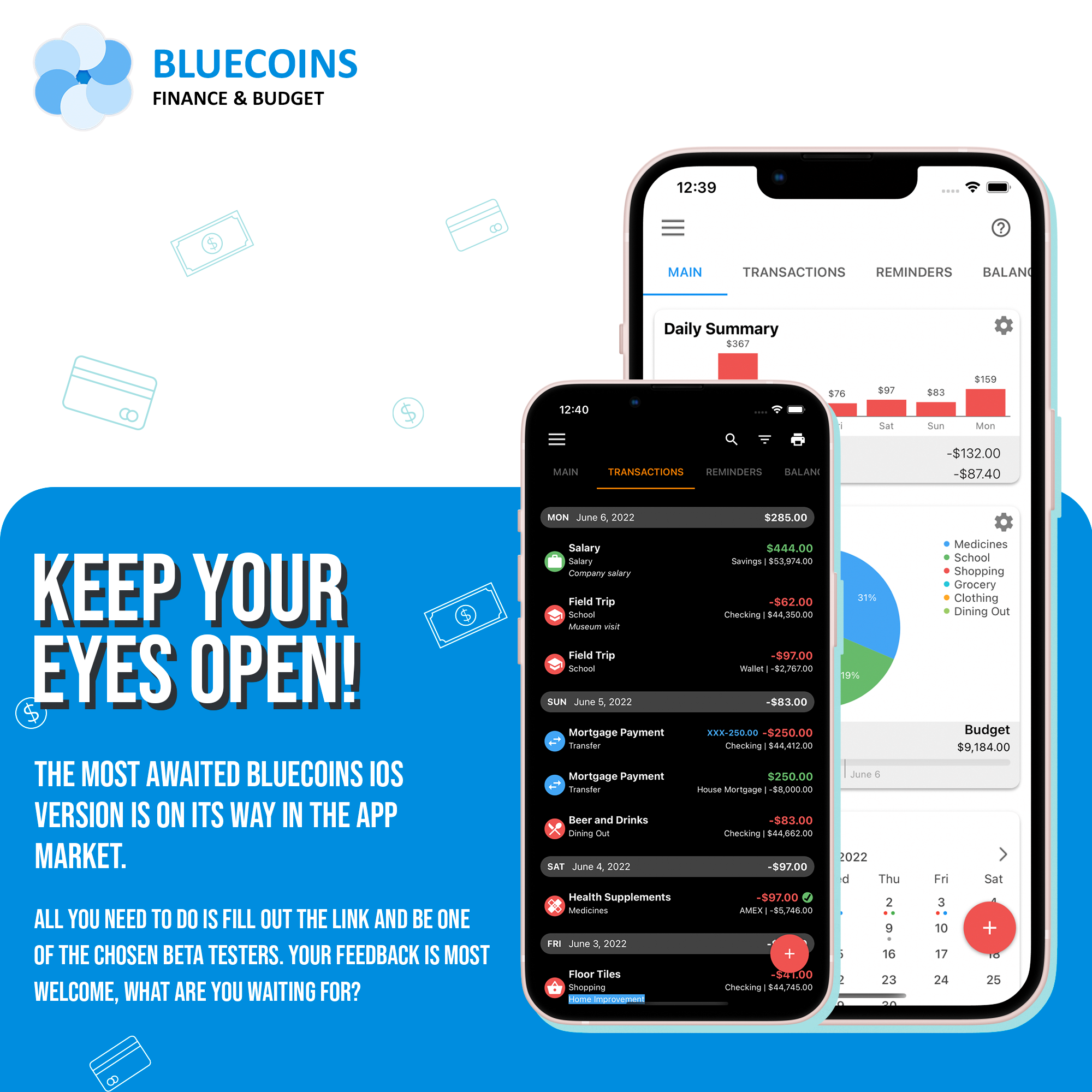 Announcing Bluecoins iOS Preview!